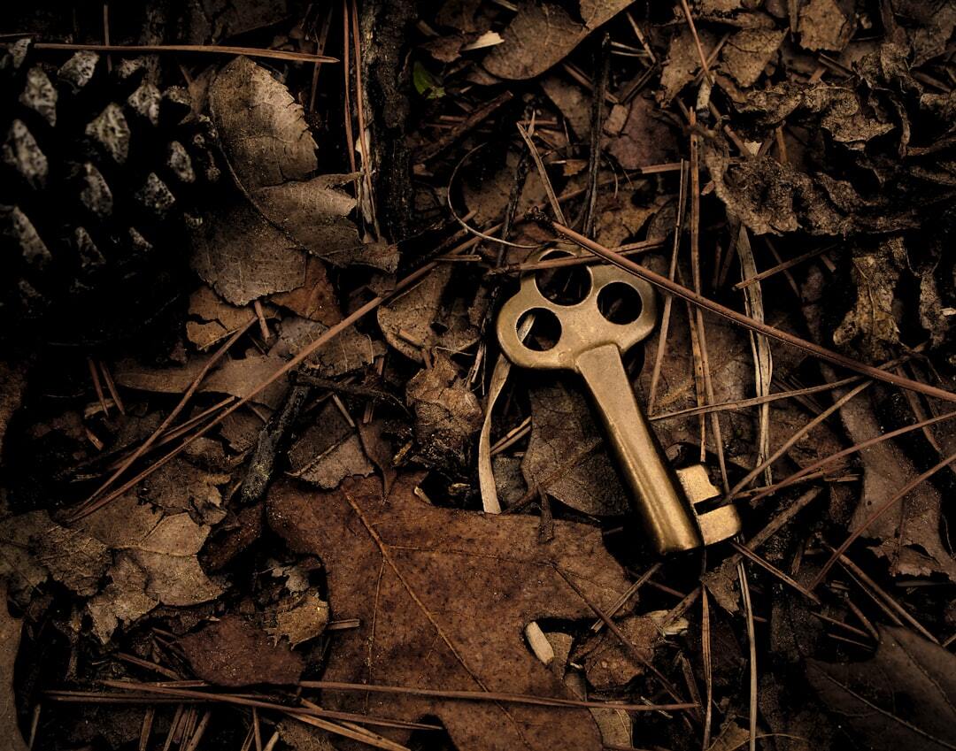 a key hidden in the garden waiting to be found