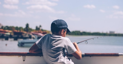 St Louis Near Me Activities Directory