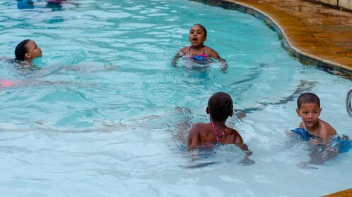 Discover Top Hotels Near St. Louis Zoo With Indoor Pools for Your Family Getaway
