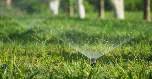 image of a green grass lawn with a water sprinkler