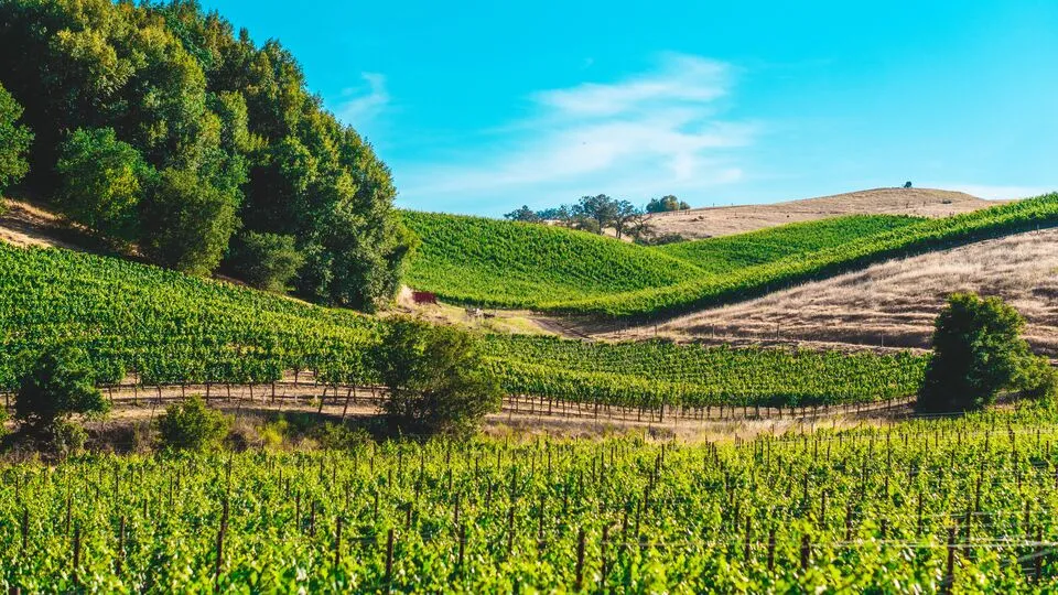 The Best Day Trips from St. Louis: 15 Escapes Within Two Hours